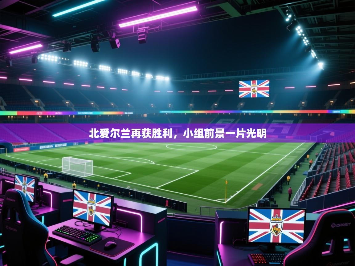 北爱尔兰再获胜利,小组前景一片光明 第1张