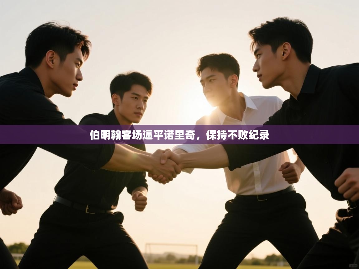 伯明翰客场逼平诺里奇，保持不败纪录  第1张