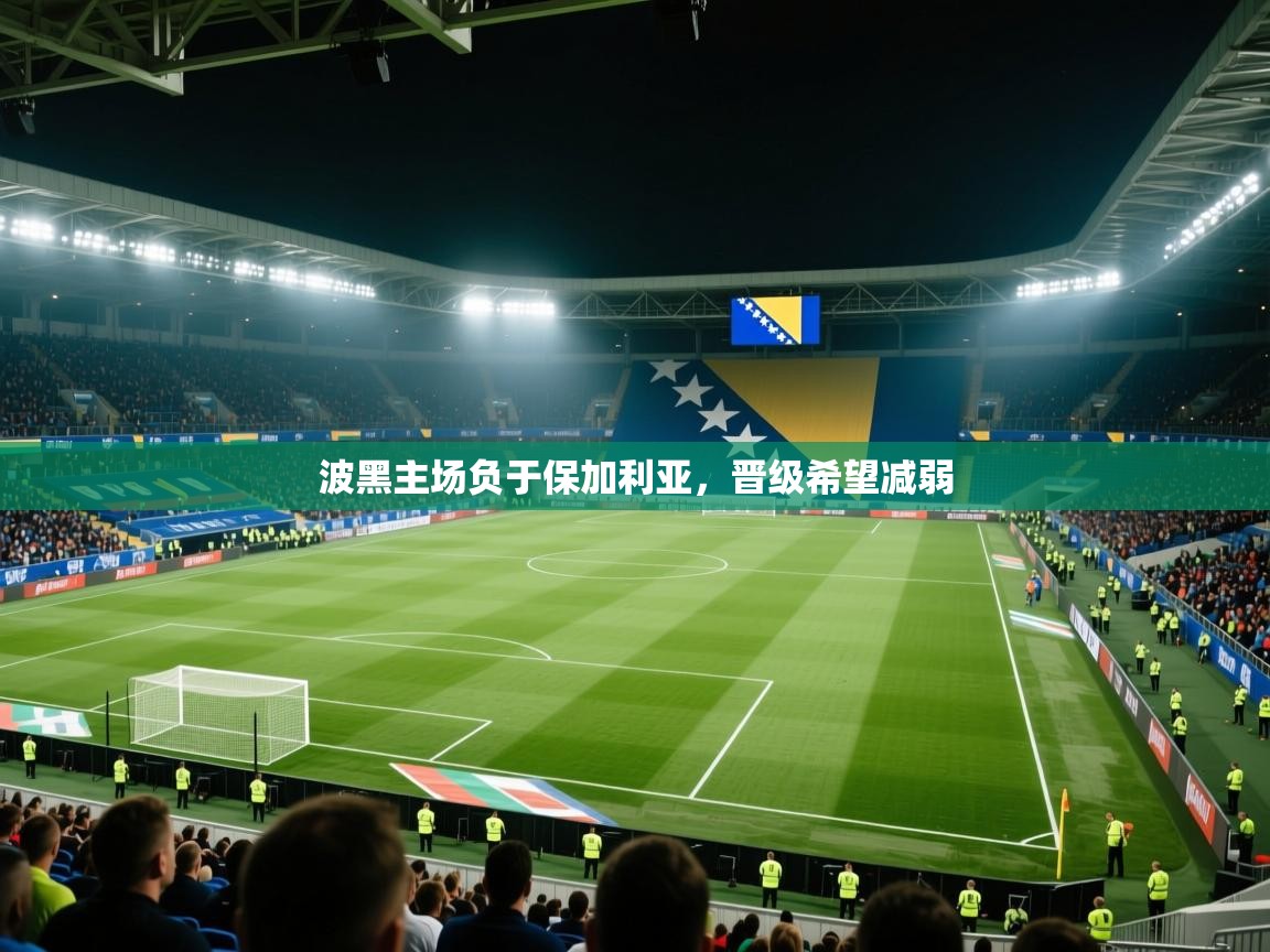 波黑主场负于保加利亚,晋级希望减弱 第1张