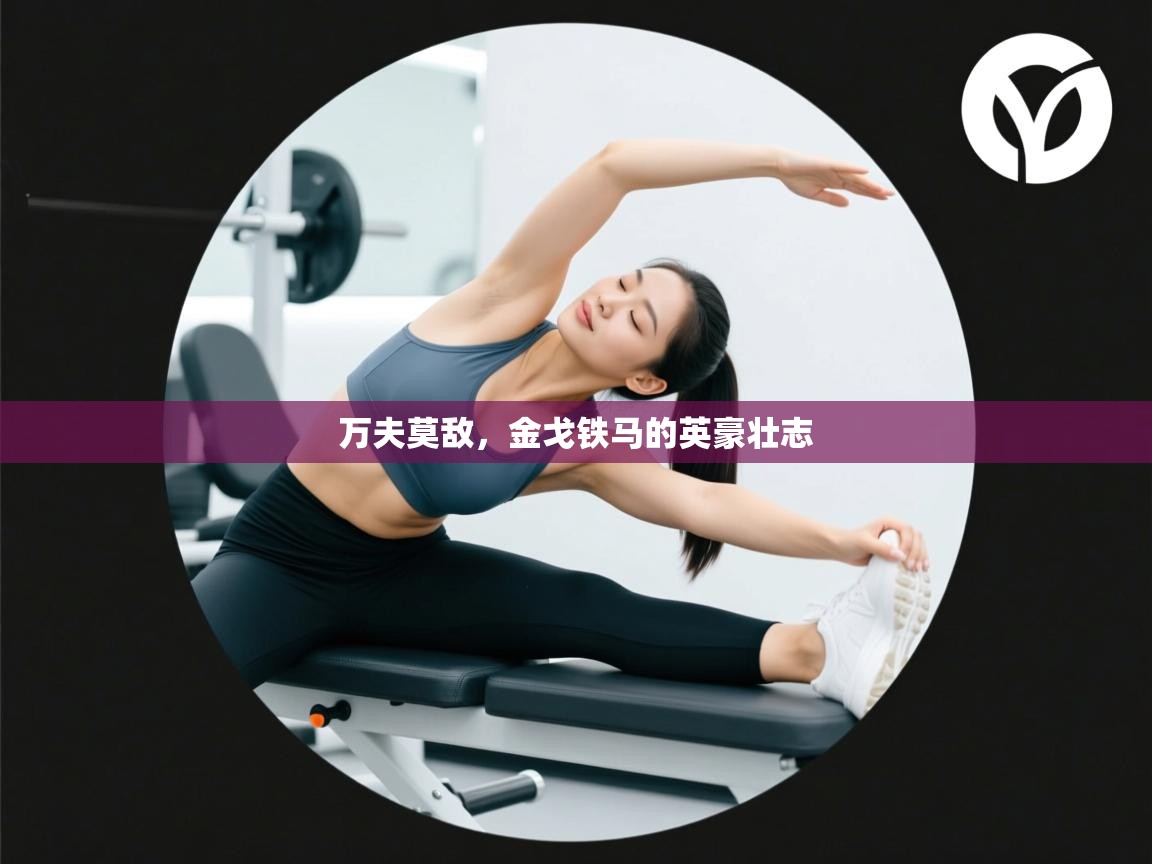 万夫莫敌,金戈铁马的英豪壮志 第2张