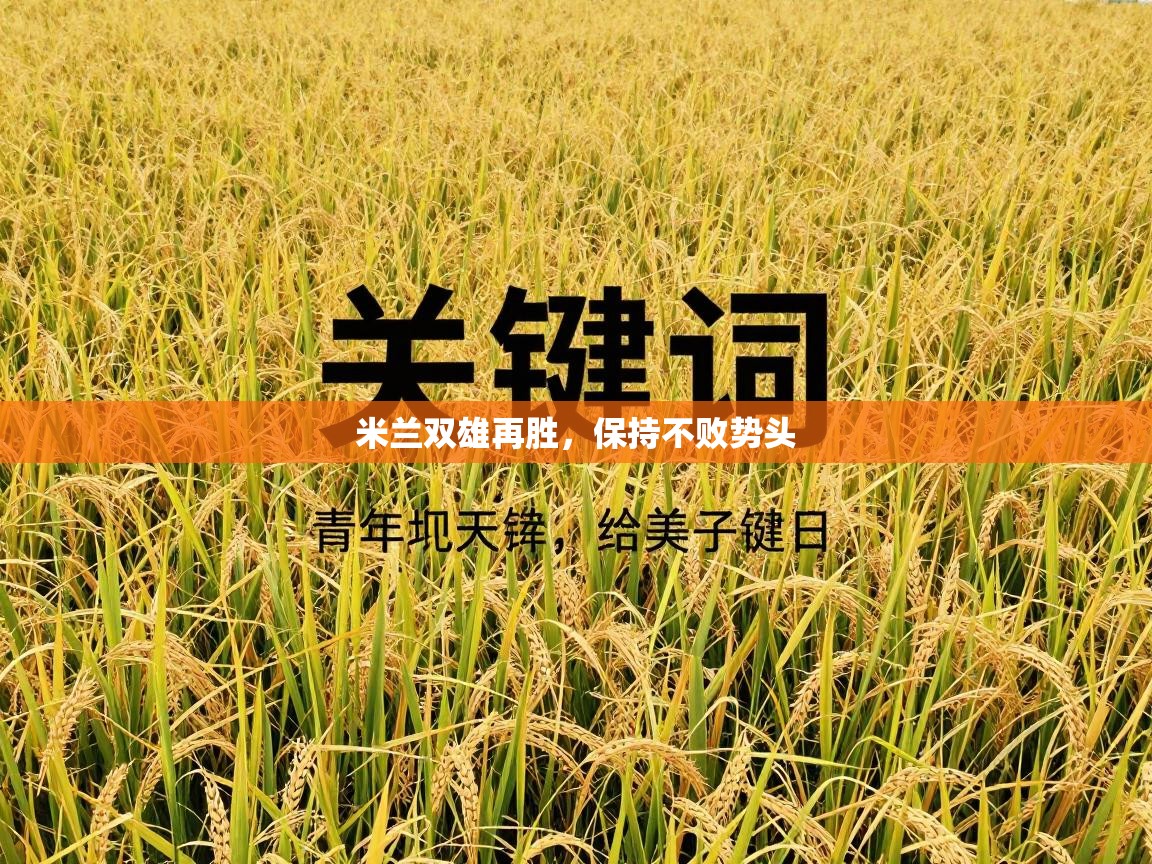 米兰双雄再胜,保持不败势头 第2张