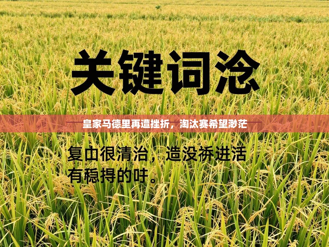 皇家马德里再遭挫折,淘汰赛希望渺茫 第1张